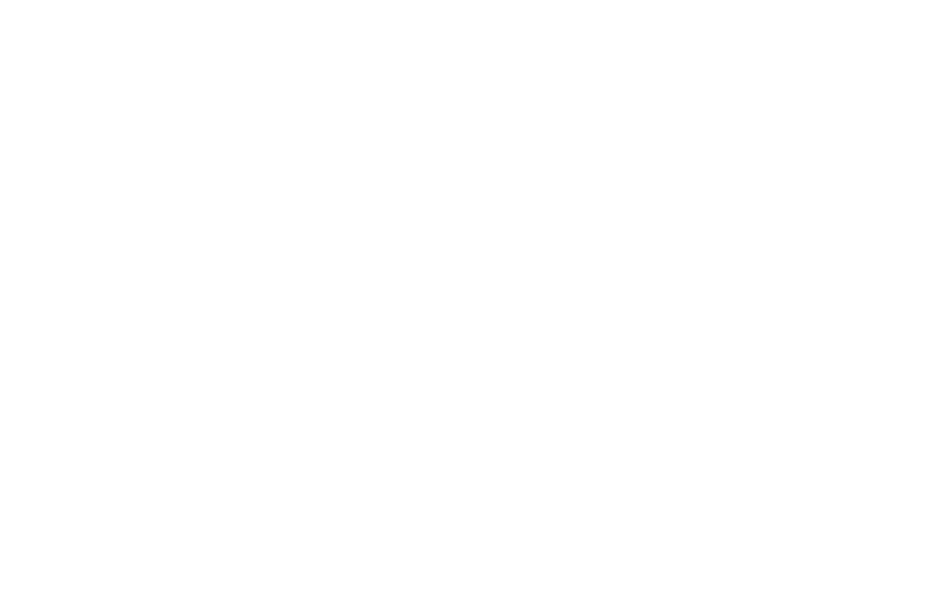 Racing Master Logo